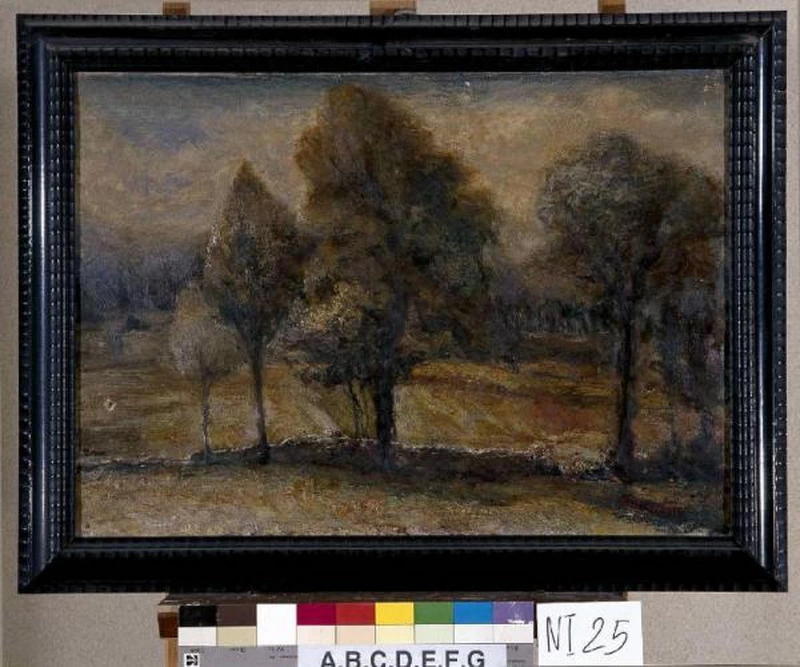  147-Paesaggio con alberi-Istituto dei Ciechi di Milano - Museo Louis Braille 